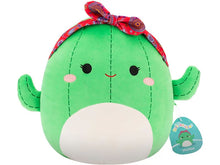 Lade das Bild in den Galerie-Viewer, Squishmallows gross
