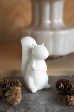 Lade das Bild in den Galerie-Viewer, Deko Squirrl
