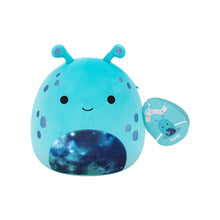 Lade das Bild in den Galerie-Viewer, Squishmallows Klein
