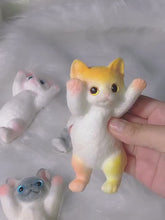 Laden und Abspielen von Videos im Galerie-Viewer, Squizzy Katze
